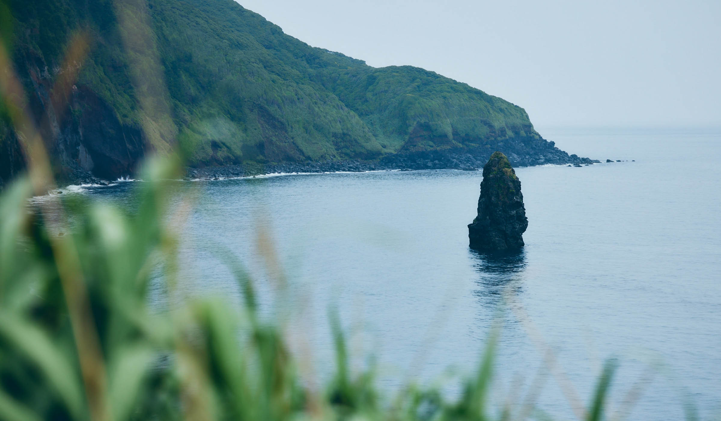 大島の風景