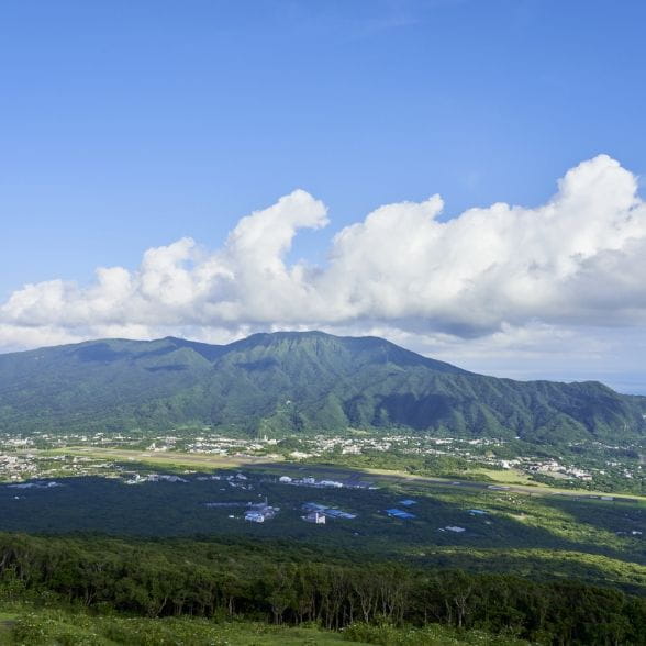 島ならではの物産コーナー