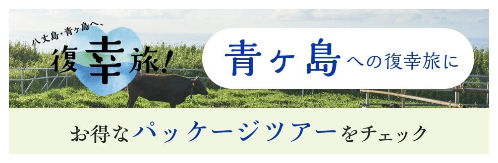 お得なパッケージツアーをチェック